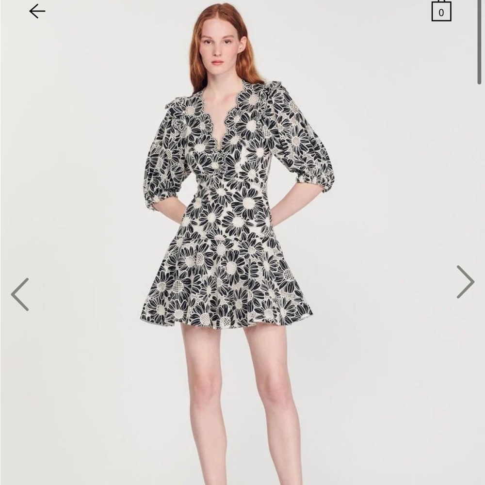 Sandro short embroidered dress
